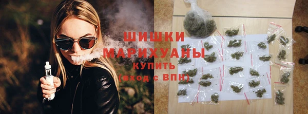 2c-b Заводоуковск